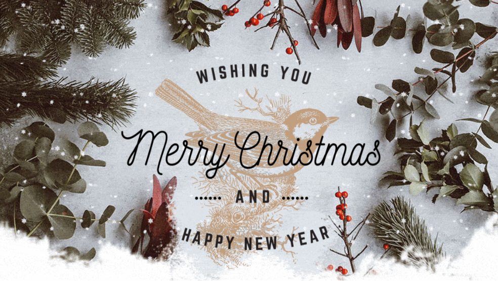 A Letter From Real International CEO Lynn Yuan – Merry Christmas And Happy New Year!