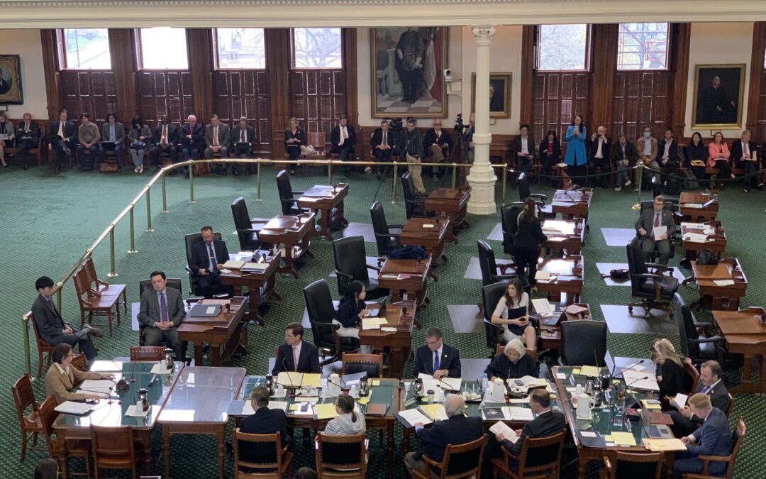 Citizens Speak Out Against Discriminatory SB147 Bill During Texas Senate Chamber Hearing